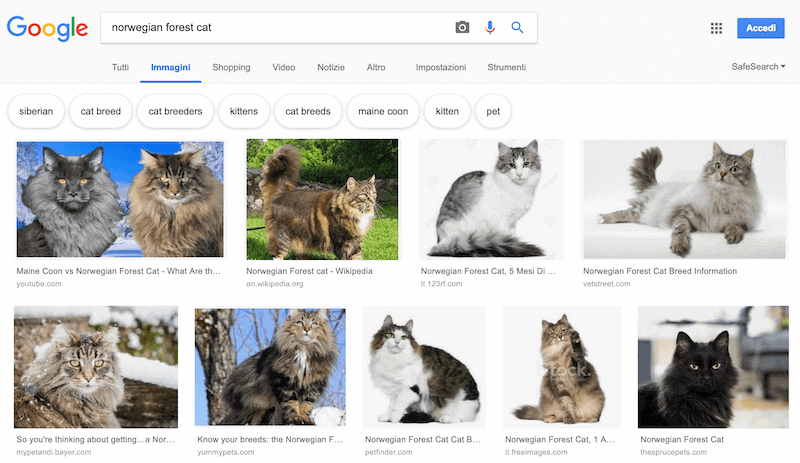 Google’s Image Search user interface 
