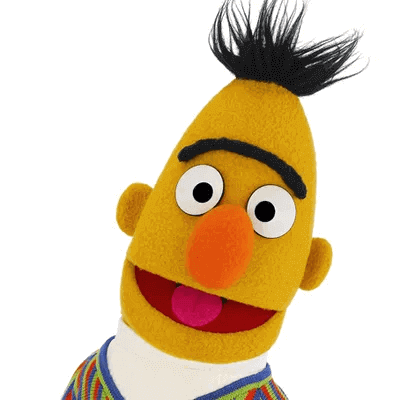 Bert from Sesame Street